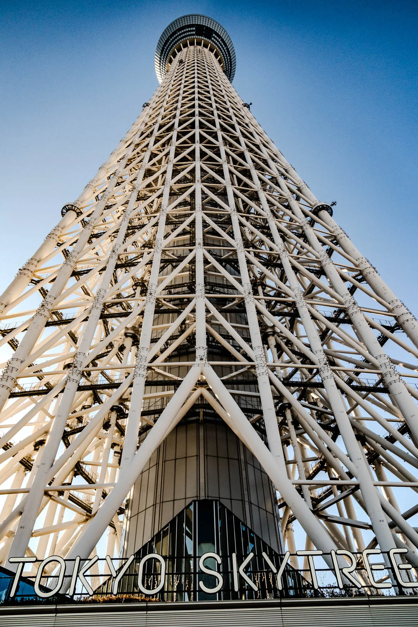 The image shows a low-angle view of the Tokyo Skytree, a tall, white, latticework tower against a clear blue sky. The tower is made of many white metal beams that form a repeating triangular pattern. The tower appears to be very tall, and the viewer is looking up at it from a low vantage point. The words "Tokyo Skytree" are visible at the base of the tower in white letters on a black background. The base of the tower has a black railing and a few dark green plants.