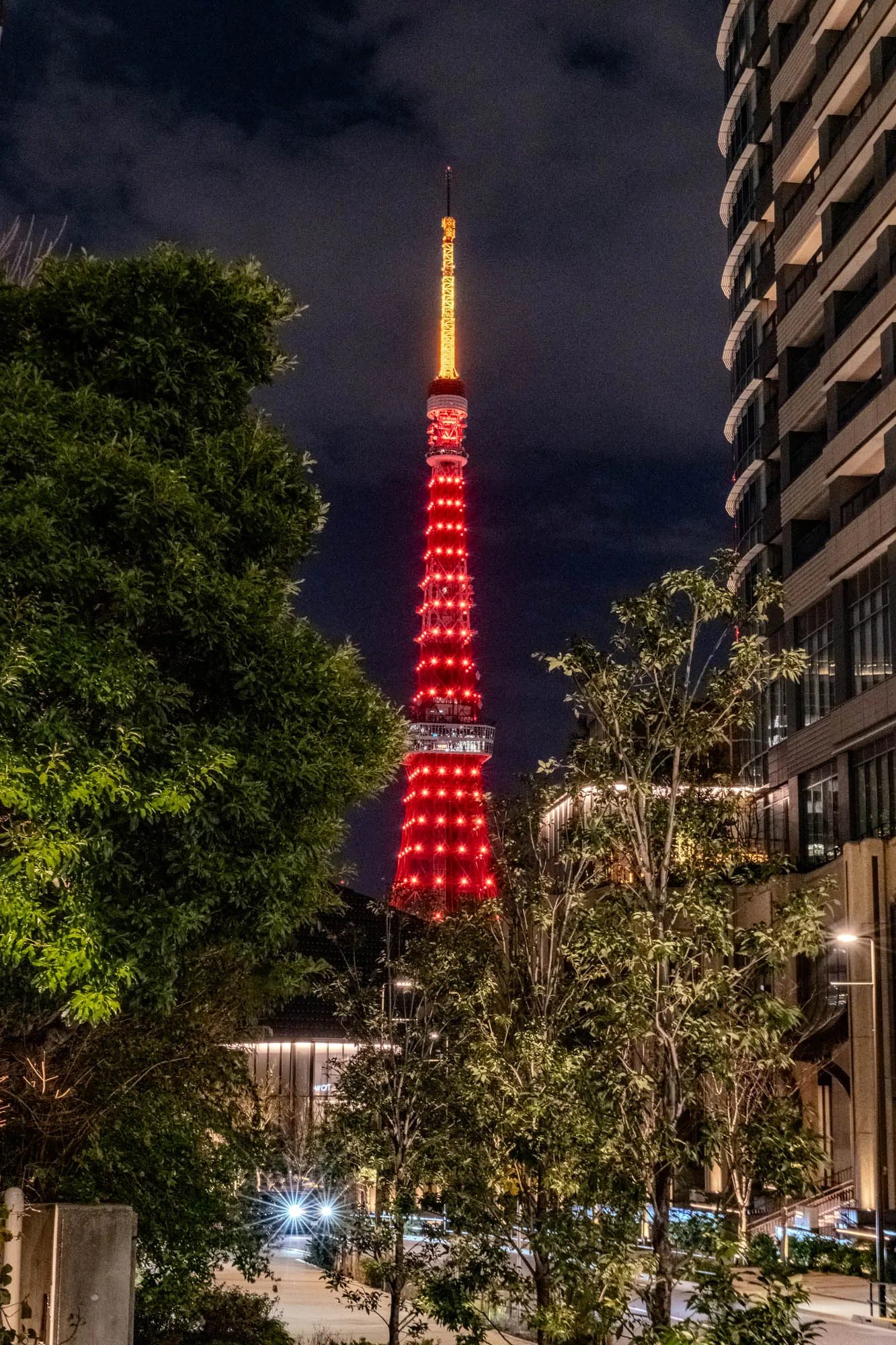 The image shows a tall, red-lit tower in the center of the image. It has a thin, yellow-lit spire at the top. The tower is mostly obscured by trees and a building on the right side of the image. The building is a tall, modern building with a lot of windows and balconies. It is lit up at night. In the foreground, there are a few trees and some bushes. There is a paved walkway in the bottom of the image leading up to the tower. It is a nighttime scene with a clear dark sky. The tower is lit up in red and the building is lit up in a warm yellow light.  The tower appears to be the Tokyo Tower, which is lit up in red for Valentine's Day.