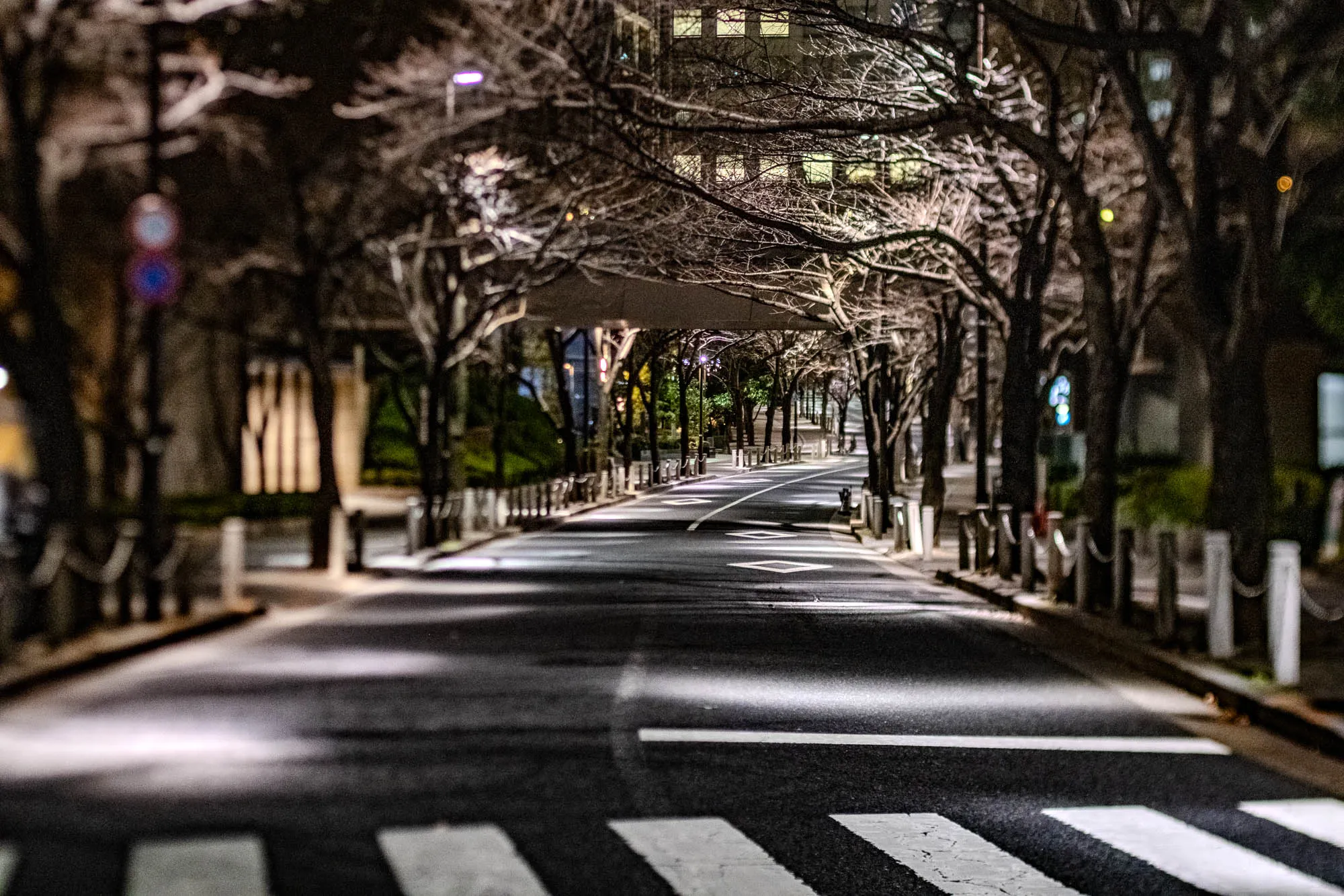 This is a photograph of a street at night. The street is empty and lined with bare trees on either side. The street is paved and there are white markings on the pavement.  There is a building on the left side of the image.  The photo was taken from the middle of the road, looking down the street. There are some streetlights in the distance, casting a glow on the road.  The trees are silhouetted against the night sky and the buildings in the distance.  The street appears empty and quiet.  The buildings along the street are dark and seem to be unlit.  The atmosphere of the photo is one of solitude and calmness.