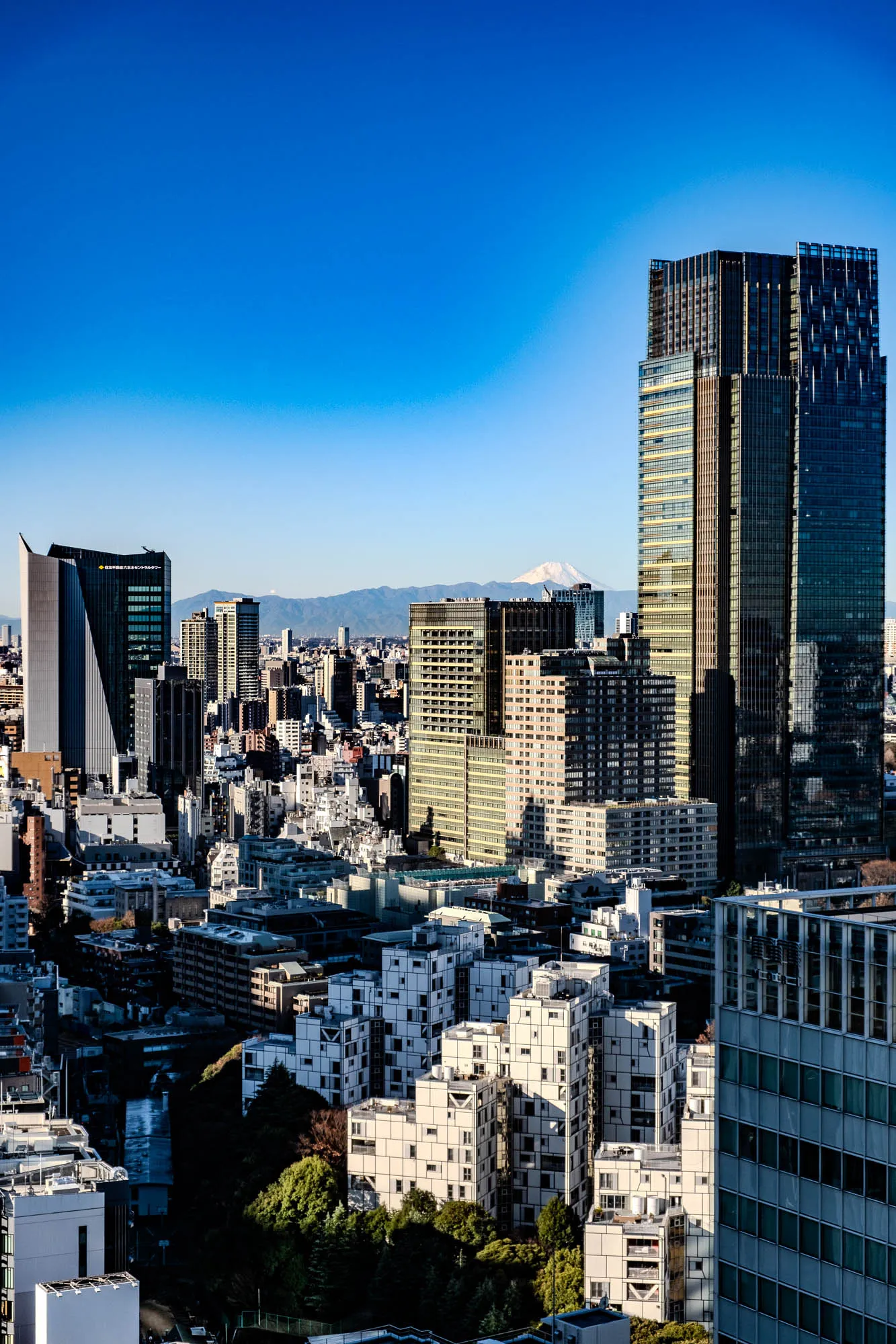 The image is a panoramic view of a city skyline. In the foreground, there are many buildings, all of which are tall and modern.  The buildings are mostly white and grey. In the middle of the image, a large, dark-colored building stands tall against the sky. The building is also modern and sleek, with many large windows. In the background, there is a mountain range covered in snow. The sky is a clear, bright blue. The image is taken from a high vantage point, likely from another skyscraper.