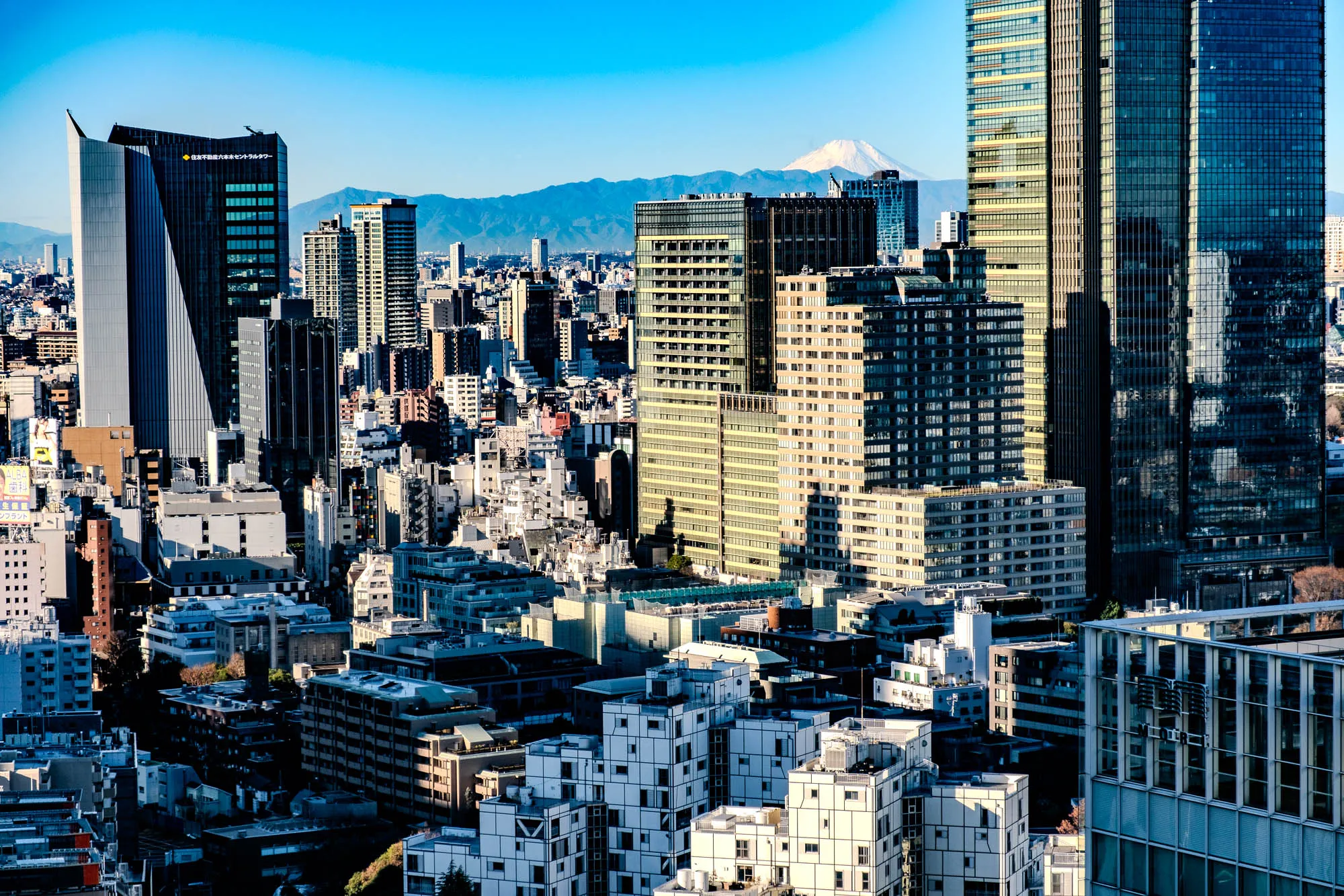 This image shows a cityscape with tall buildings and a mountain in the distance.  The buildings are mostly made of glass and steel.  The sky is blue and clear. In the distance, there is a snow-capped mountain.  The buildings are arranged in a grid pattern, and there are many trees and plants in the foreground.  One building, a tall skyscraper, is partially visible with its name in Japanese written in white.  To the right of the image, there is a building partially visible with a metal facade. 
