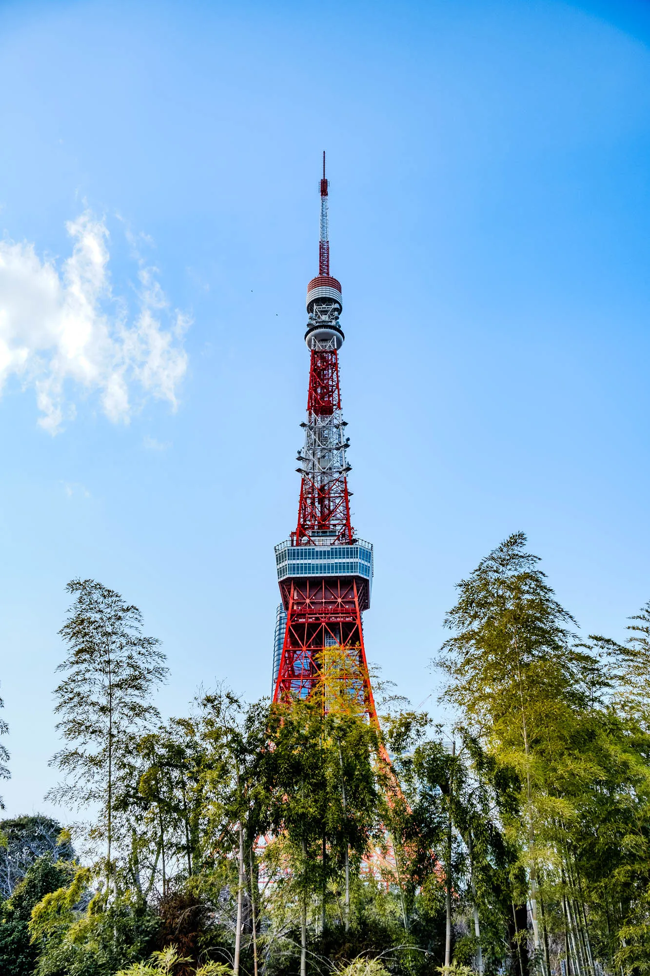 The image shows a tall, red and white tower against a bright blue sky with a few fluffy clouds. The tower has a lattice structure and appears to be made of metal. The tower is surrounded by a grove of trees with green leaves. The trees obscure some of the tower's lower structure. The top of the tower has a flat, circular platform and a small, white dome. There is an antenna on top of the dome.