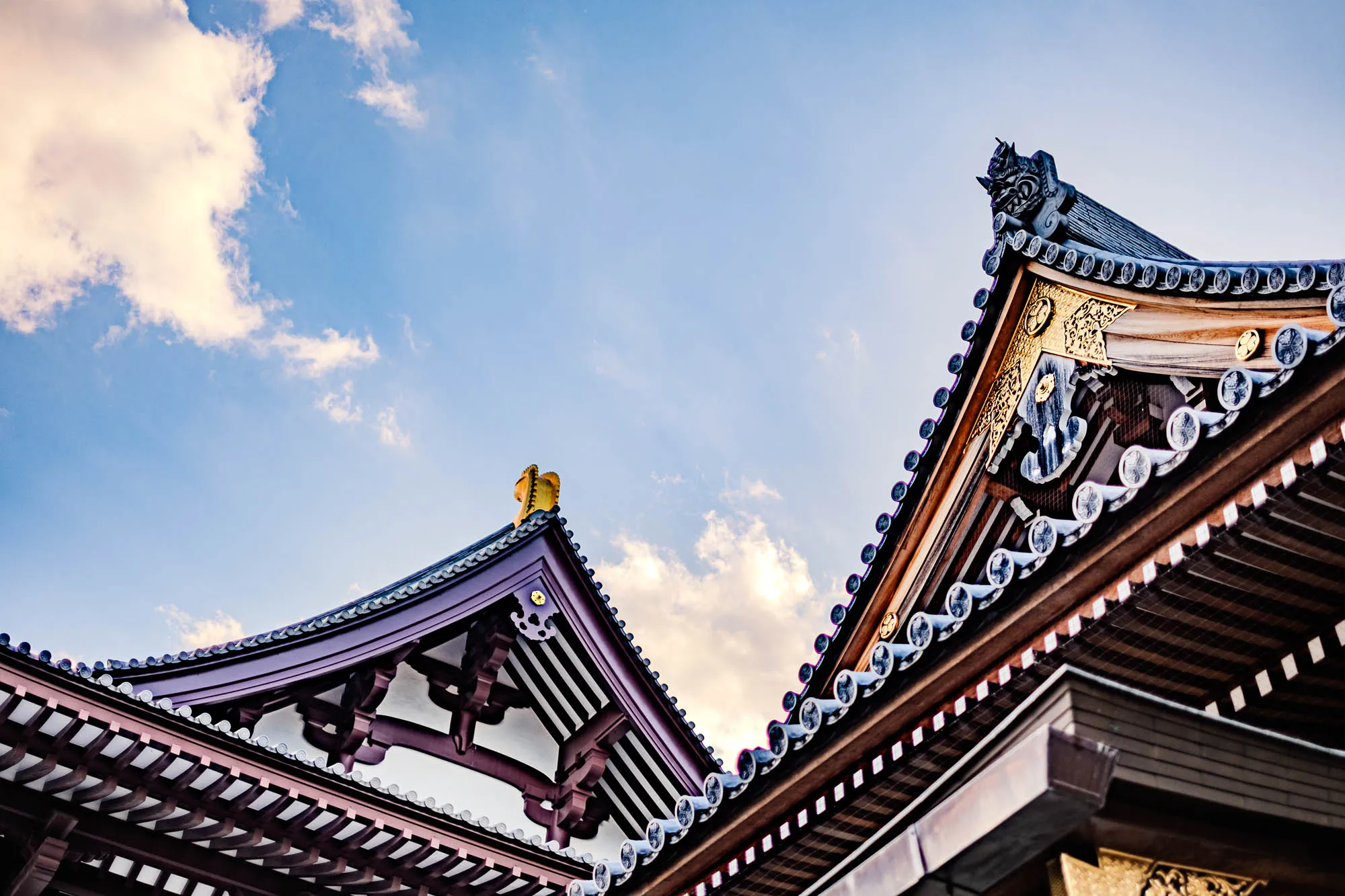 The image shows a low angle view of the top of two traditional Japanese buildings against a bright blue sky with puffy white clouds. The rooftops are intricate and angled, with a series of wooden beams and eaves. The eaves are decorated with circular designs, with dark blue tile-like roofing. One of the roofs has a prominent gold-painted dragon-like figure at its peak. There are also other gold-painted designs along the edge of the roof. The wooden beams are painted in shades of brown, black, and white.  The image is taken from a low angle looking up, giving the buildings a sense of grandeur and height.  The blue sky and white clouds make the buildings stand out and create a sense of peace and serenity.