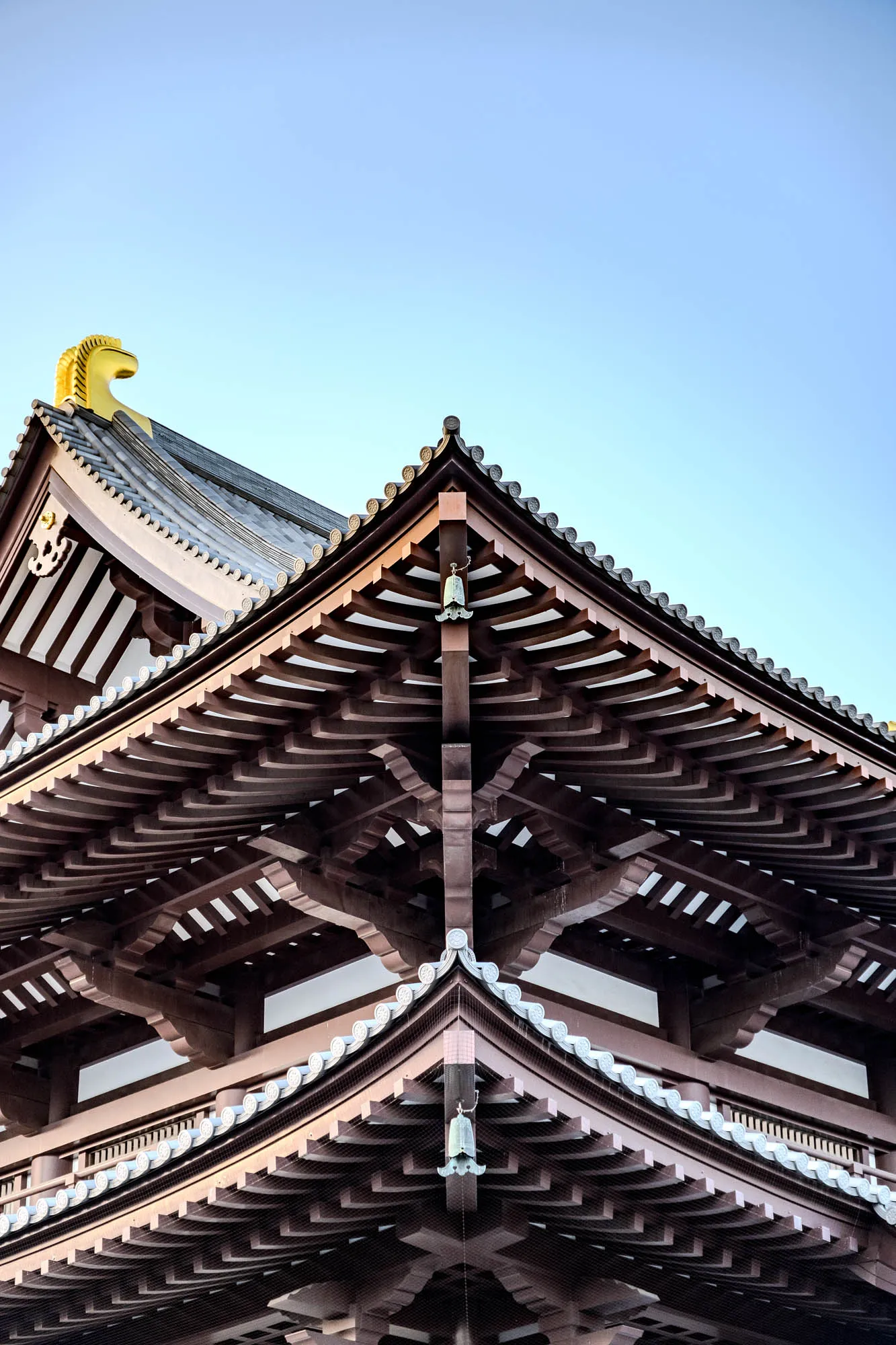 This is a close-up of the corner of a traditional Japanese building.  The roof is tiered and the structure is made of wood. The roof is made of dark brown wood and is decorated with a series of rows of decorative rounded white ceramic tiles. The roof is highly complex with a variety of angles and layers, and it's intricate wood structure can be seen.  There is a golden figure on the top of the roof that appears to be an animal.  There is a small bell hanging from the side of the roof. The background is a bright, clear blue sky.