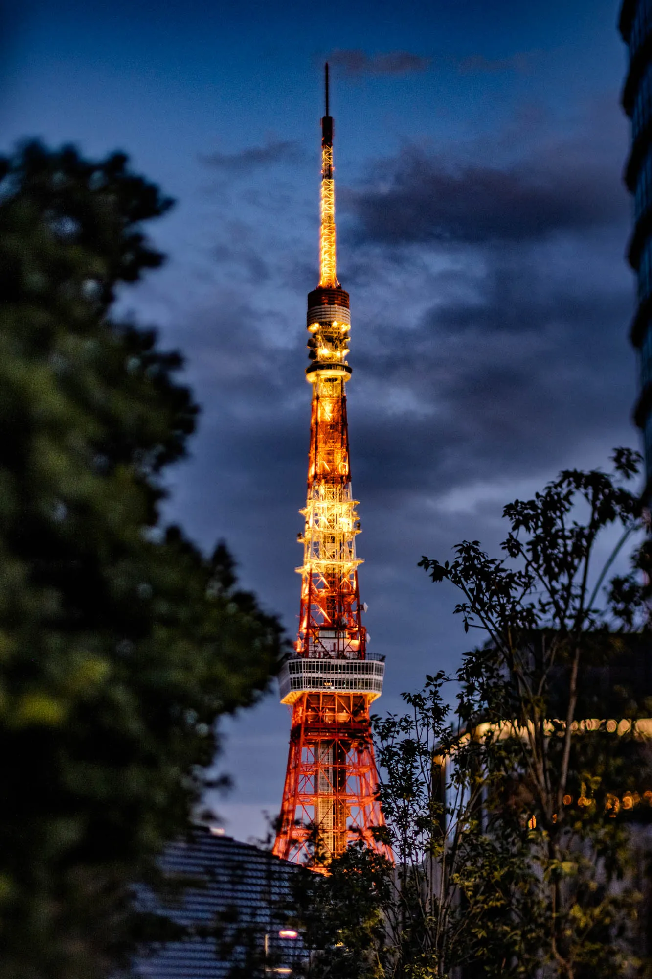 The image shows a tall, red and white tower, lit up against a dark blue sky. It is an iconic structure, likely a famous tower in a major city. The tower is partially obscured by foliage on the left and right sides of the image. The foliage is dark and lush, creating a natural frame around the tower. The sky is a deep blue, with hints of grey clouds. The lights on the tower create a warm glow against the night sky. There are also some lights visible in the foliage on the right, possibly coming from other buildings in the vicinity.