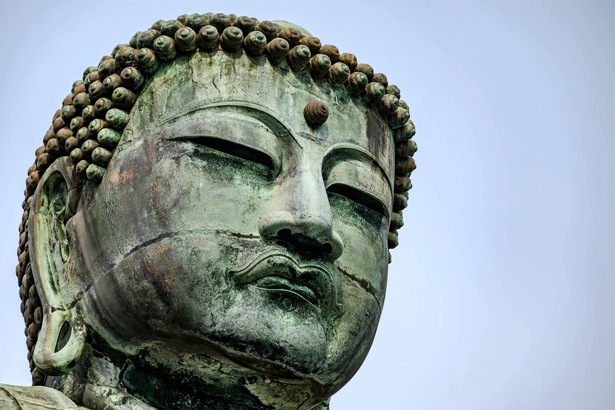 The image is a close-up of the face of a large Buddha statue. The statue is made of bronze and has a weathered, green patina. The Buddha's eyes are closed and its lips are slightly parted. The statue has a large, round ear and a small, round bump on its forehead. The background is a clear, blue sky.  The statue's face is serene and peaceful, and the image evokes a sense of tranquility and spirituality. 
